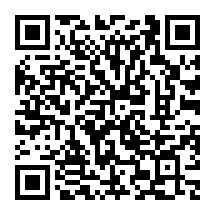 唐山中宝MINI微信