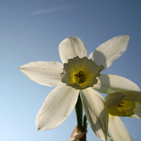 你是我心中的一道风景唯