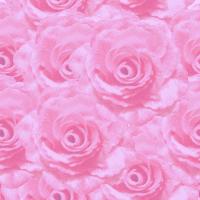 壁纸素材,共100g免费下载