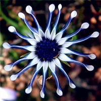 丹青连衣裙丹青连衣裙图片及搭配,丹青连衣裙价