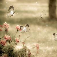 新搜集的一些图片