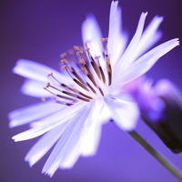 空调贴纸空调贴纸品牌价格评论,空调贴纸图片搭