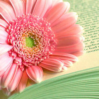 微信求婚头像手捧鲜花,手捧鲜花男生的微信头像