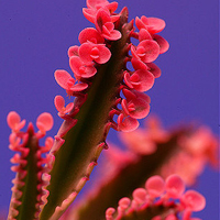 一路走来留下的风景唯美