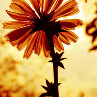 幸福是你给的在乎浪漫温