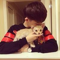 霸气犯二男生个性微信头