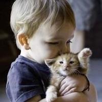 童年是无法抹去的眷念童真活泼的欧美可爱小正太头像图