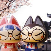 超萌可爱的卡通猫头像,萌猫图片做微信头像,萌猫头像图片,卖萌猫头