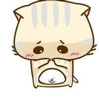 个性化定制手机天语E379生肖图片之十二猪