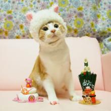 微信沙漠之鹰头像,微信头像莹,鹰微信头像图片,微信头像动物鹰图片