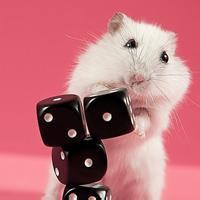 手绘卡通动物头像微信卡通动物头像图片聊天