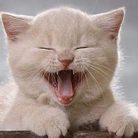 q版剑三卡通动漫微信头像