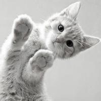 呆萌呆萌的动漫小女生可爱动漫微信头像