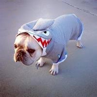 女生头像小孩子萌图,小孩子动态萌图,超萌小孩子微信动态头像,小孩