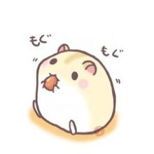 暖男带宠物头像,带宠物的女生头像,带宠物头像,带宠物的情侣头