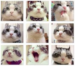 微信卡通可爱有些话烂在心里就成了秘密