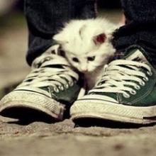 漫画带字微信头像漫画动物间的对话