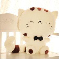 猫图片大全可爱猫咪,猫咪