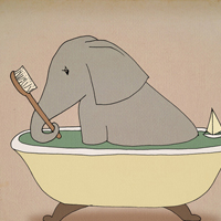 可爱小熊头像简笔画可爱小动物图片简笔画女孩简笔画漂亮可