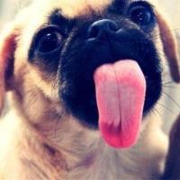 漫画头像图片,,漫画头像图片