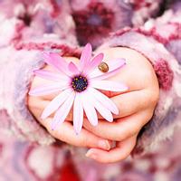 zakka杂货生态良品白色法文