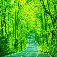 变了的是我的模样没变的是我心春天里温暖系女生头像