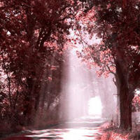 微信头像景物带字,微信头像景物意境,微信头像景物,唯美微信头像景物