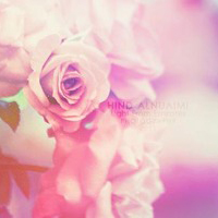 此时的你想什么呢精致纯美的花朵小清新意境个性头像