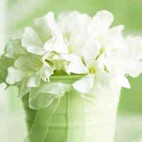 微信群动态搞笑图片动态搞笑图片500张微信群搞笑图片动态