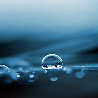 滴落露珠的景色头像,最自然美