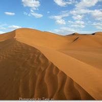 唯美水墨山水木桥背景墙图片