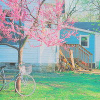 清新温暖的唯美风景头像微信个性头像