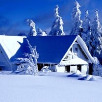 冬季唯美雪景头像图片,大地一片银白太美丽了