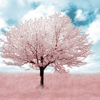 你是此生最美的风景清新干净的风景唯美个性头像