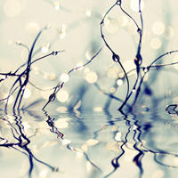 意境静物外拍自然风景摄影微信群头像