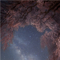 幻想有个世界美得不像话唯美意境风景头像