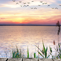 唯美高清日出风景微信头像美图,最美丽的地方