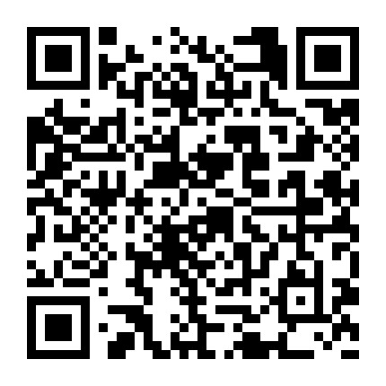 13级党支部微信