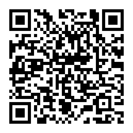 解码团队总代微信