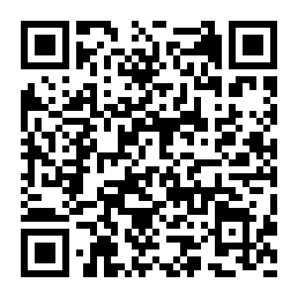 柏林古董首饰微信