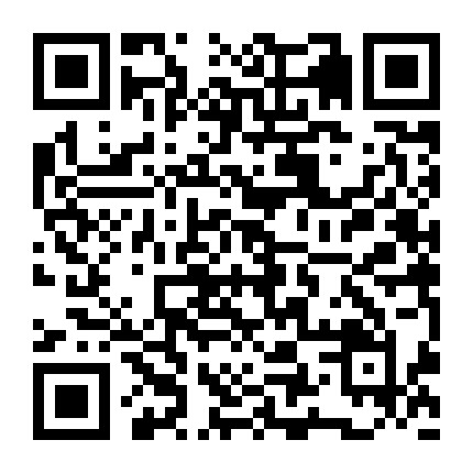 懒人学扎发微信