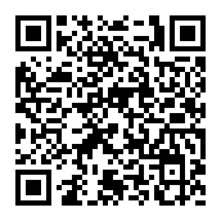 懒人快速学扎发微信