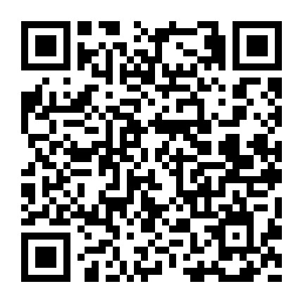 懒人学扎头发微信