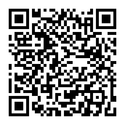 学会扎漂亮头发微信