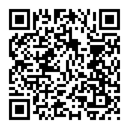 学扎99种头发微信