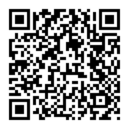 每天学扎头发儿微信