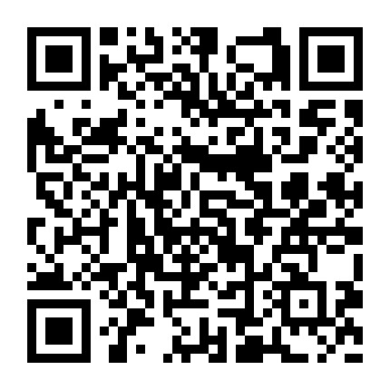 学扎漂亮头发微信