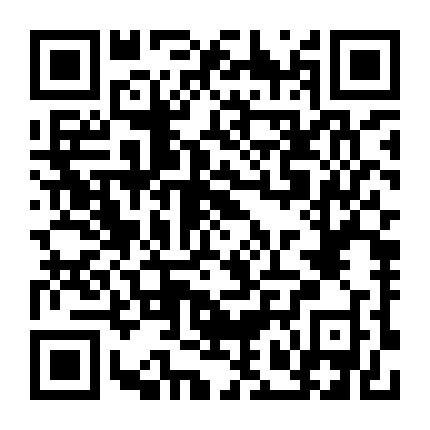 懒人速学扎头发微信