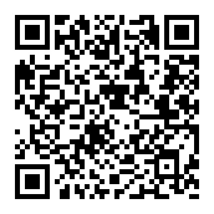 教你扎头发盘发微信