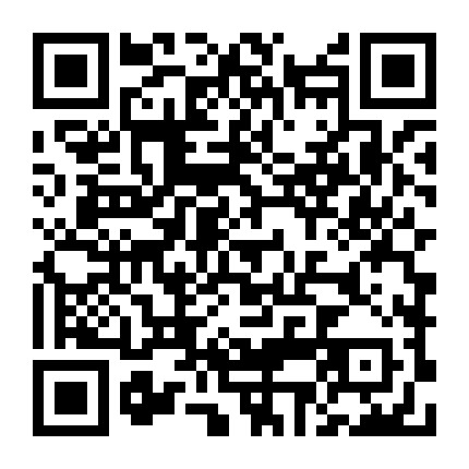 每天扎头发微信